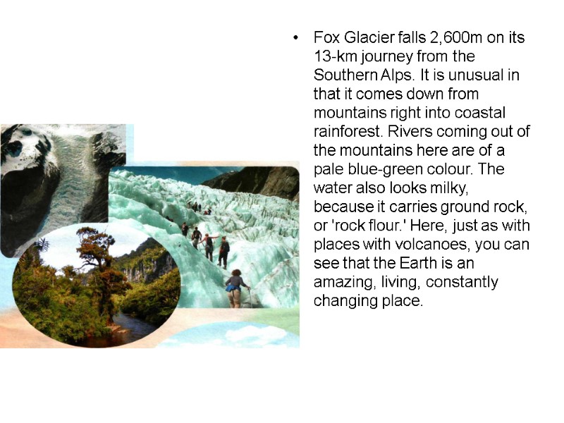 Fox Glacier falls 2,600m on its 13-km journey from the Southern Alps. It is